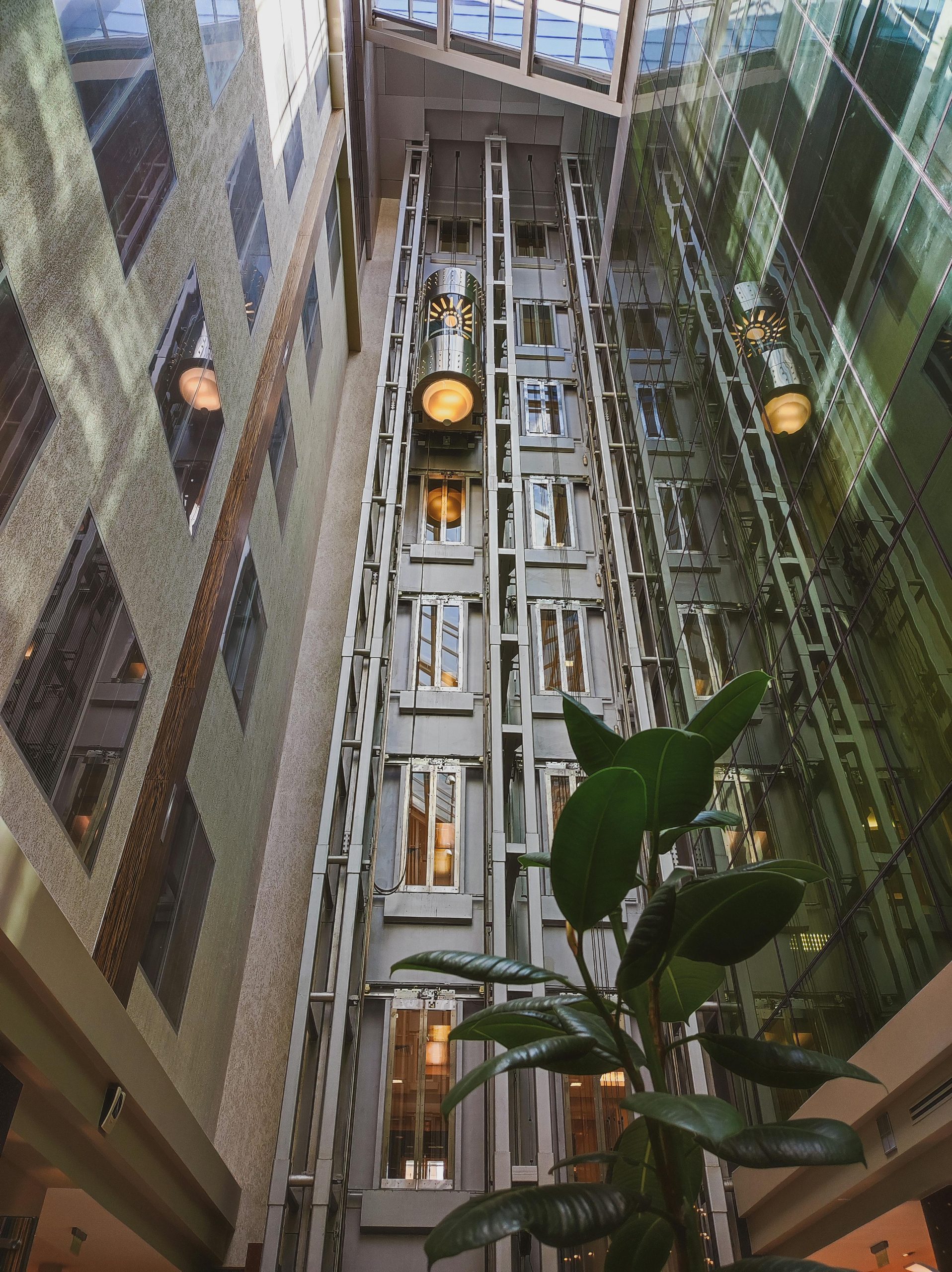 Vertical shot of sleek glass elevators in a contemporary atrium featuring green foliage.